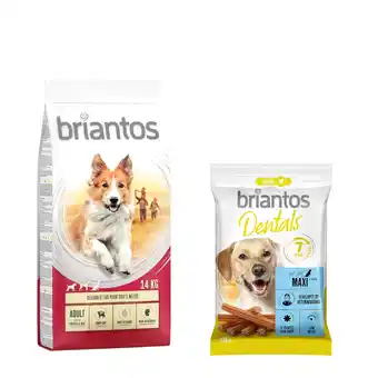 Zooplus 14 kg Briantos droogvoer + Dental Snack Maxi gratis! - Adult Kip & Rijst + Dental Snack Maxi aanbieding