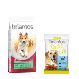 Zooplus 14 kg Briantos droogvoer + Dental Snack Maxi gratis! - Adult Lam & Rijst + Dental Snack Maxi aanbieding