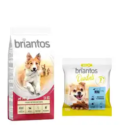 Zooplus 14 kg Briantos droogvoer + Dental Snack Mini gratis! - Adult Kip & Rijst + Dental Snack Mini aanbieding