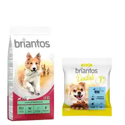 Zooplus 14 kg Briantos droogvoer + Dental Snack Mini gratis! - Adult Lam & Rijst + Dental Snack Mini aanbieding