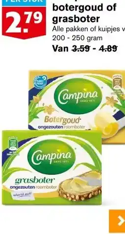 Hoogvliet Campina botergoud of grasboter aanbieding