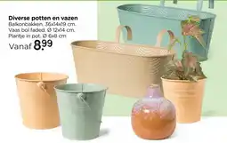 Xenos Diverse potten en vazen aanbieding