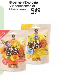 Xenos Bloemen explosie zaden - diverse varianten aanbieding