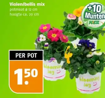 Poiesz Violen/bellis mix aanbieding