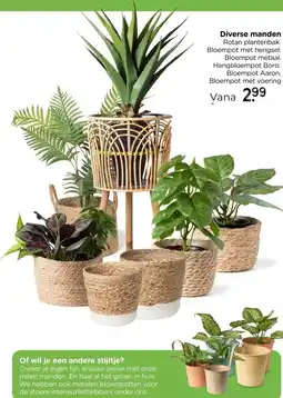 Xenos Bloempot Aaron - ø15x11 cm aanbieding