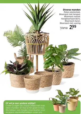 Xenos Bloempot Aaron - ø15x11 cm aanbieding