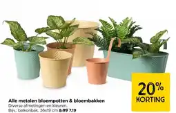 Xenos Alle metalen bloempotten & bloembakken aanbieding