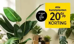 Xenos Alle kunstplanten aanbieding