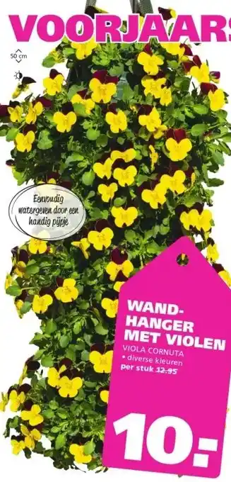 Ranzijn WAND- HANGER MET VIOLEN aanbieding