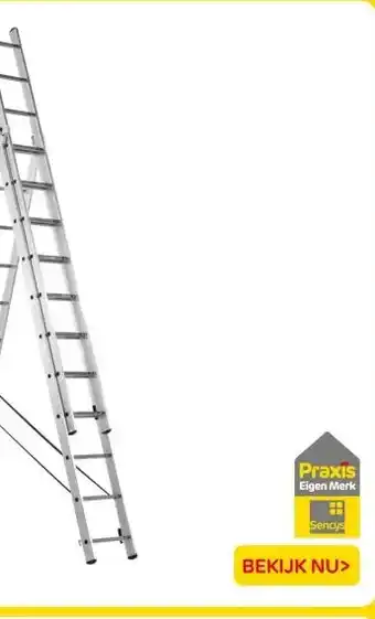 Praxis SENCYS REFORMLADDER aanbieding