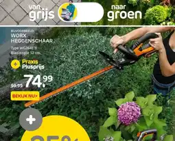 Praxis WORX HEGGENSCHAAR aanbieding