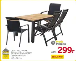 Praxis CENTRAL PARK TUINTAFEL LIMOUX aanbieding