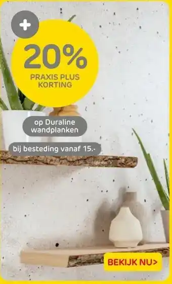 Praxis 20% PRAXIS PLUS KORTING aanbieding