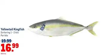 Makro Yellowtail Kingfish aanbieding