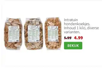 Intratuin Intratuin hondenkoekjes aanbieding