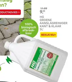 Praxis Hg groene aanslagreiniger kant & klaar aanbieding