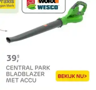 Praxis Central park bladblazer met accu aanbieding