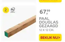 Praxis Paal douglas gezaagd aanbieding