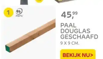 Praxis Paal douglas geschaafd aanbieding