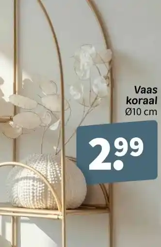 Wibra Vaas koraal Ø10 cm aanbieding