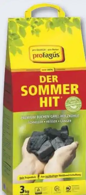 Combi Buchen Grill- Holzkohle Der Sommer- Hit aanbieding