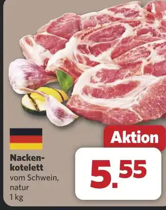 Combi Nacken- kotelett aanbieding