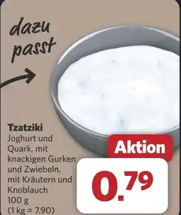 Combi Tzatziki aanbieding