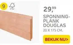 Praxis Sponning plank douglas aanbieding