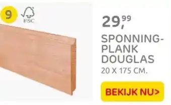 Praxis Sponning plank douglas aanbieding