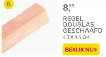 Praxis Regel douglas geschaafd aanbieding