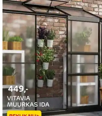 Praxis Vitavia muurkas ida aanbieding