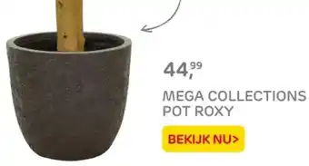 Praxis Mega collections pot roxy aanbieding