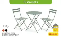 Praxis Central park bistroset maddy aanbieding