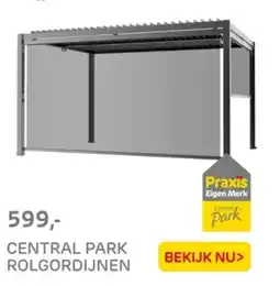 Praxis Central park rolgordijnen aanbieding