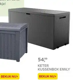 Praxis Keter kussenbox emily aanbieding