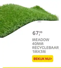 Praxis Meadow 40mm recyclebaa 1mx3m aanbieding