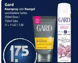 Klaas und Kock Gard Haarspray oder Haargel aanbieding