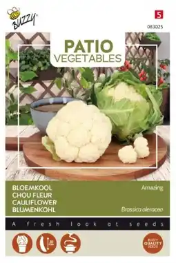 Welkoop Buzzy Patio Veggies Bloemkool Amazing - Groentezaden - 20  aanbieding