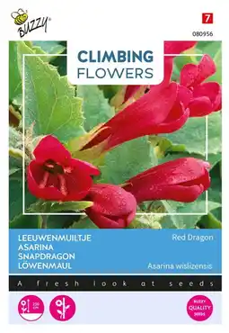 Welkoop Buzzy Climbing Flowers Leeuwenmuiltje Red Dragon - Bloemzaden - 10  aanbieding