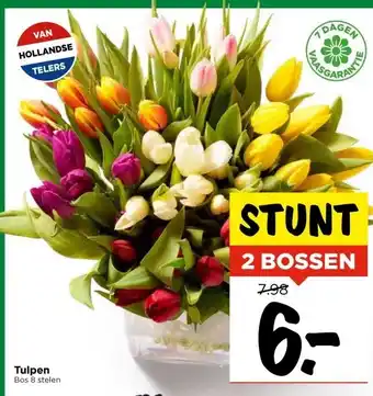 Vomar Voordeelmarkt Tulpen Bos 8 stelen aanbieding