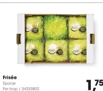 HANOS Frisée aanbieding