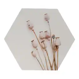 Van Cranenbroek Wanddecoratie papaver 38x38cm nc aanbieding