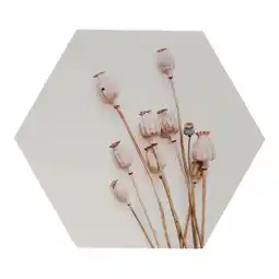 Van Cranenbroek Wanddecoratie papaver 38x38cm nc aanbieding