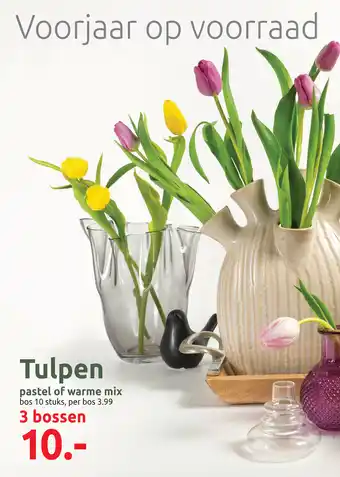 Deka Tuin Tulpen aanbieding