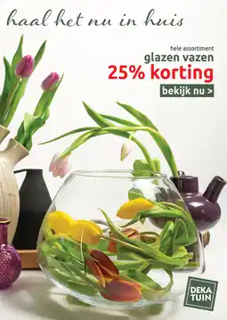 Deka Tuin Glazen vazen aanbieding