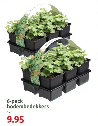 Deka Tuin 6 pack bodembedekkers aanbieding