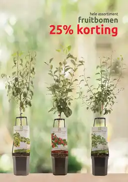 Deka Tuin Fruitbomen aanbieding