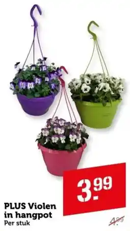 Coop PLUS Violen in hangpot aanbieding