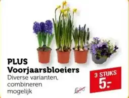 Coop PLUS Voorjaarsbloeiers aanbieding