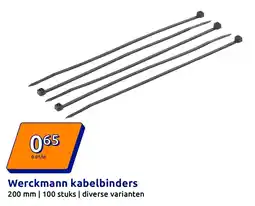 Action Werckmann kabelbinders aanbieding